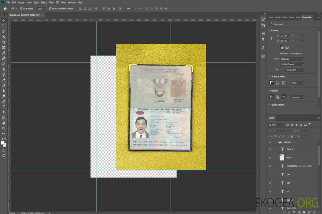 Aperçu photo du passeport belge (2014-2017) template